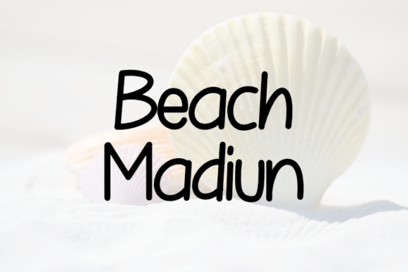 Beach Madiun: A Script Font That Elevates Web Design