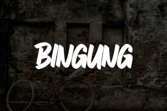 Bingung: A Versatile Script Font for Editorial Brilliance