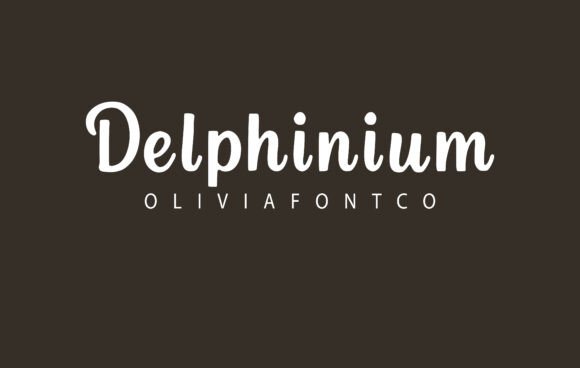 Delphinium: A Friendly Serif Font That Makes Small Brands Shine