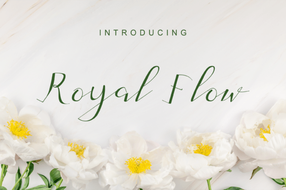 Royal Flow: A Smooth Script Font for Branding